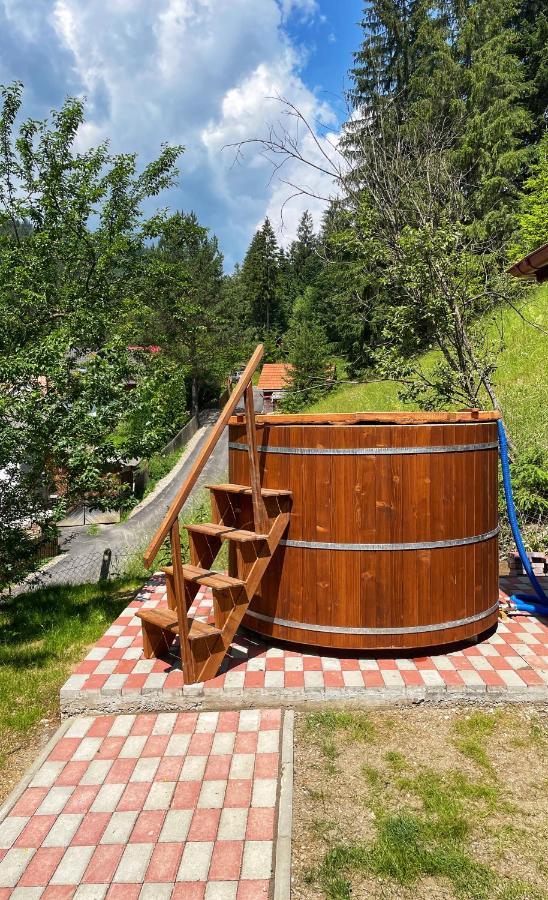 Casa De Vacanta Chesa 博尔塞克 外观 照片