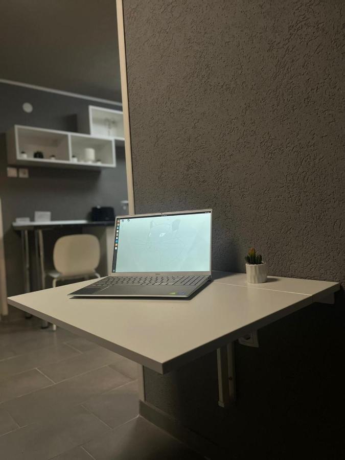 Casa De Vacanta Chesa 博尔塞克 外观 照片